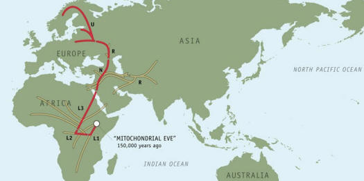 Bichara's Maternal Genetic History